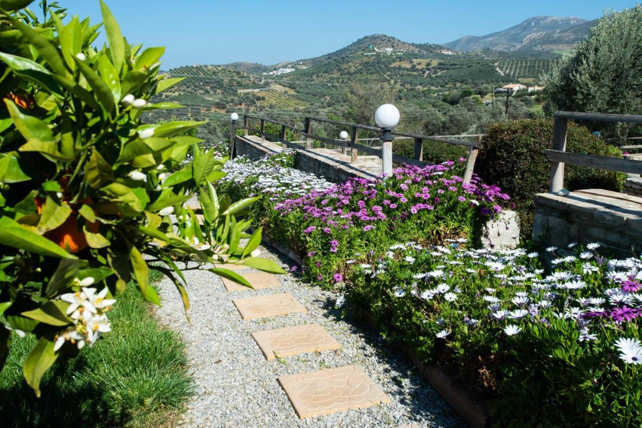 Sivas Apartments-Studios,Sigelakis With Very Nice View エクステリア 写真